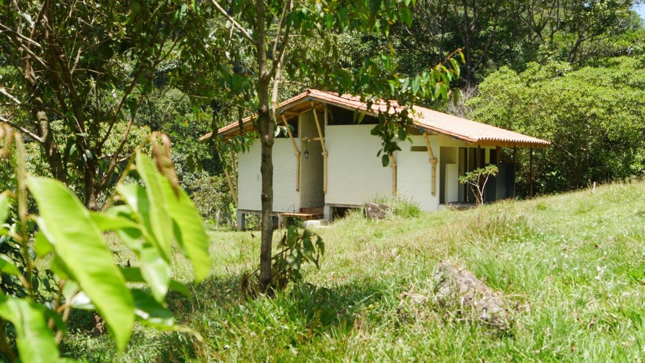 La Perla Negra - Black Pearl Eco Hostel San Rafael  Εξωτερικό φωτογραφία