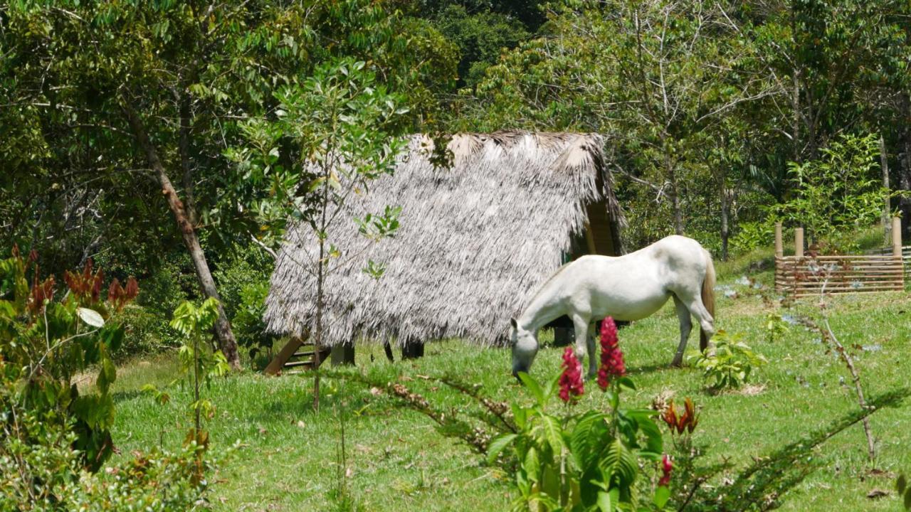 La Perla Negra - Black Pearl Eco Hostel San Rafael  Εξωτερικό φωτογραφία