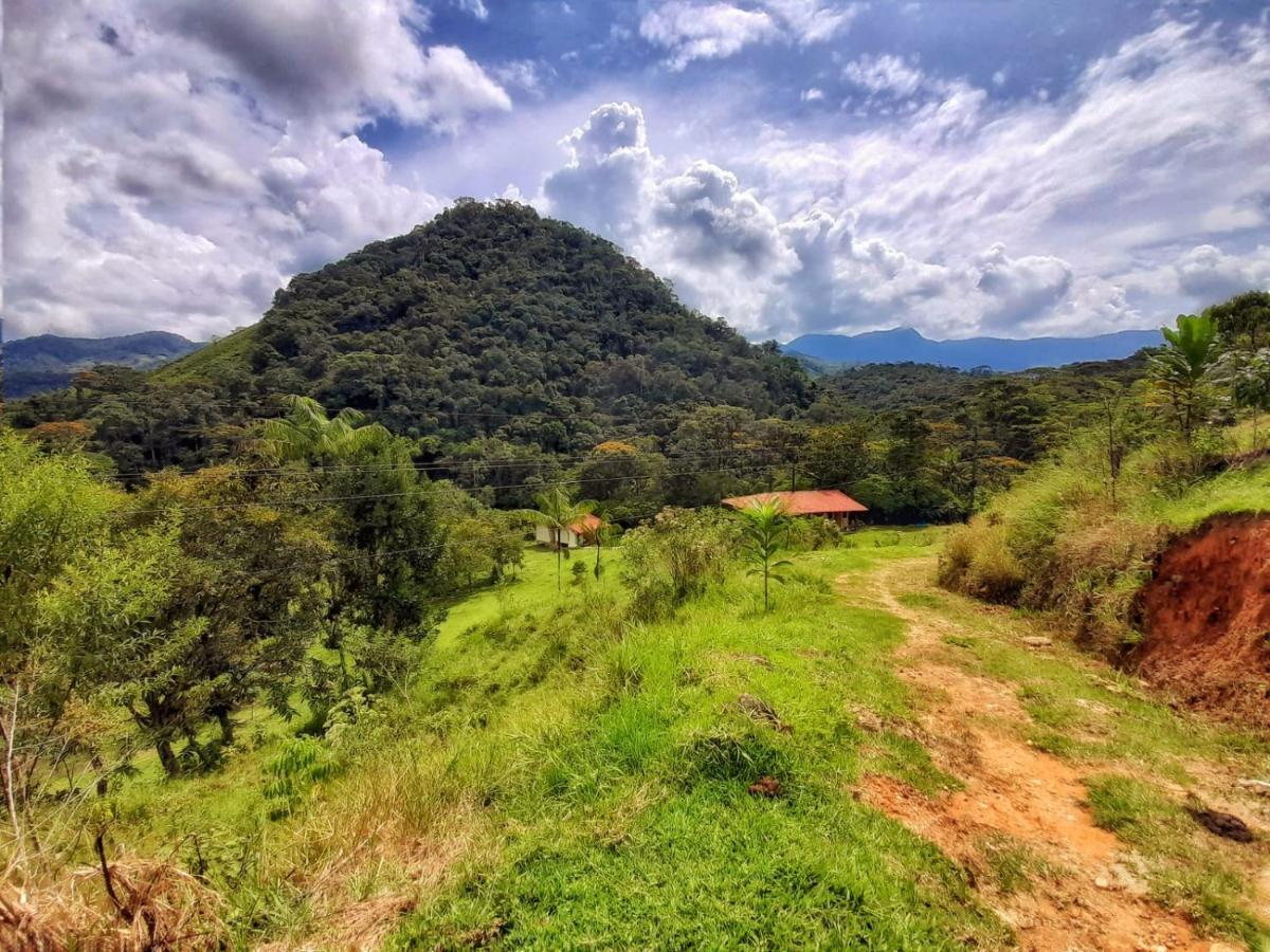 La Perla Negra - Black Pearl Eco Hostel San Rafael  Εξωτερικό φωτογραφία