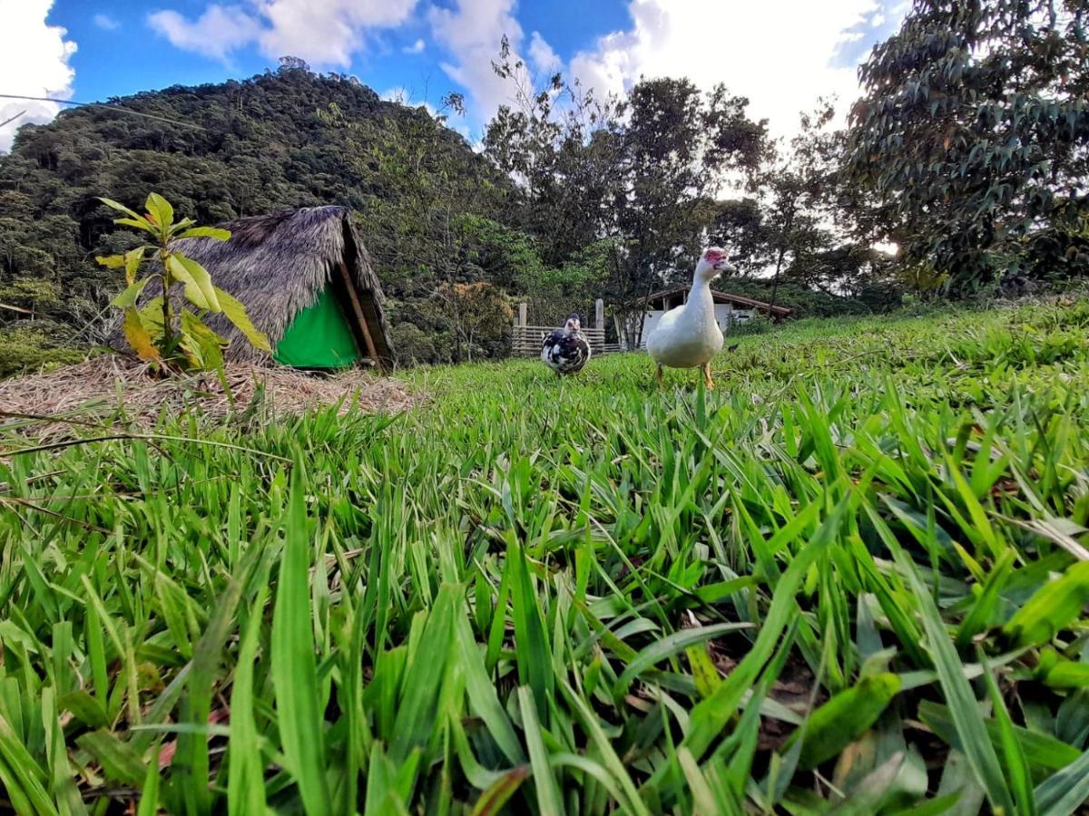 La Perla Negra - Black Pearl Eco Hostel San Rafael  Εξωτερικό φωτογραφία