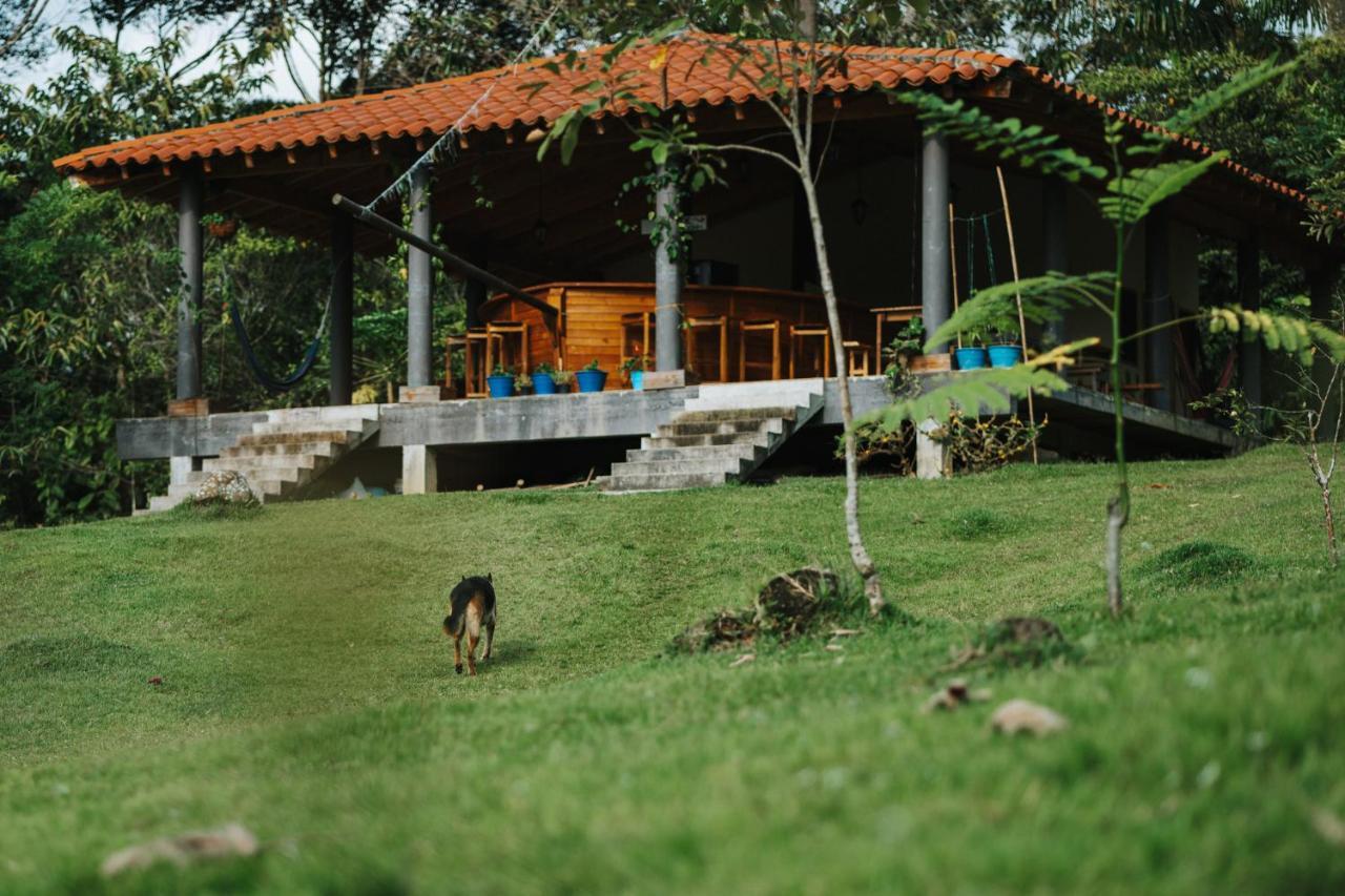 La Perla Negra - Black Pearl Eco Hostel San Rafael  Εξωτερικό φωτογραφία