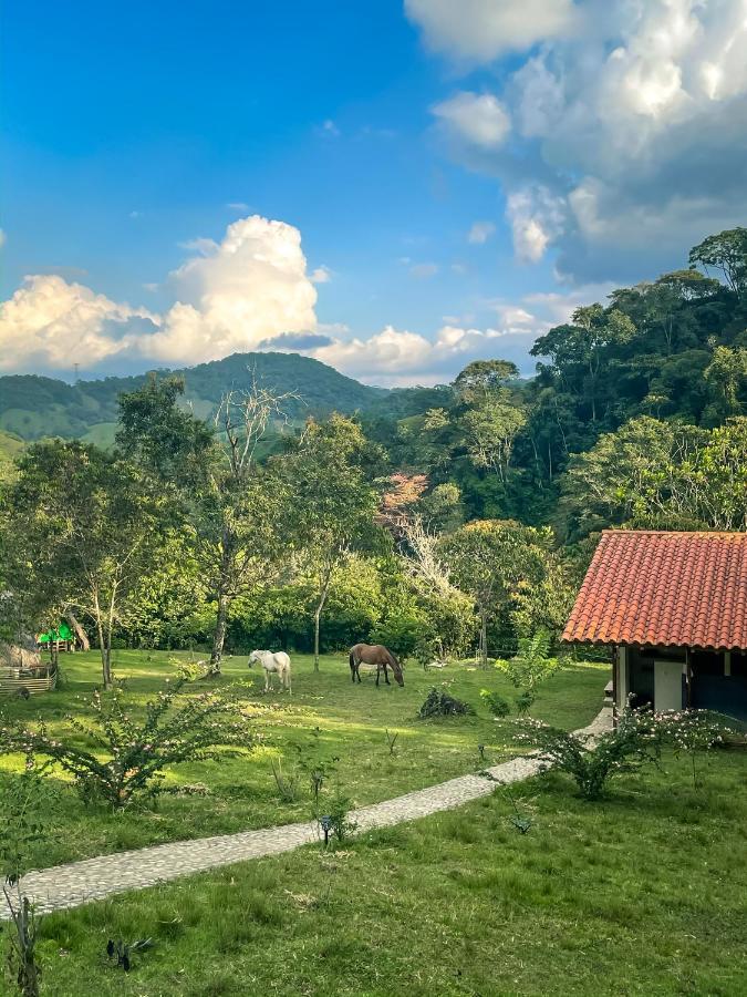 La Perla Negra - Black Pearl Eco Hostel San Rafael  Εξωτερικό φωτογραφία