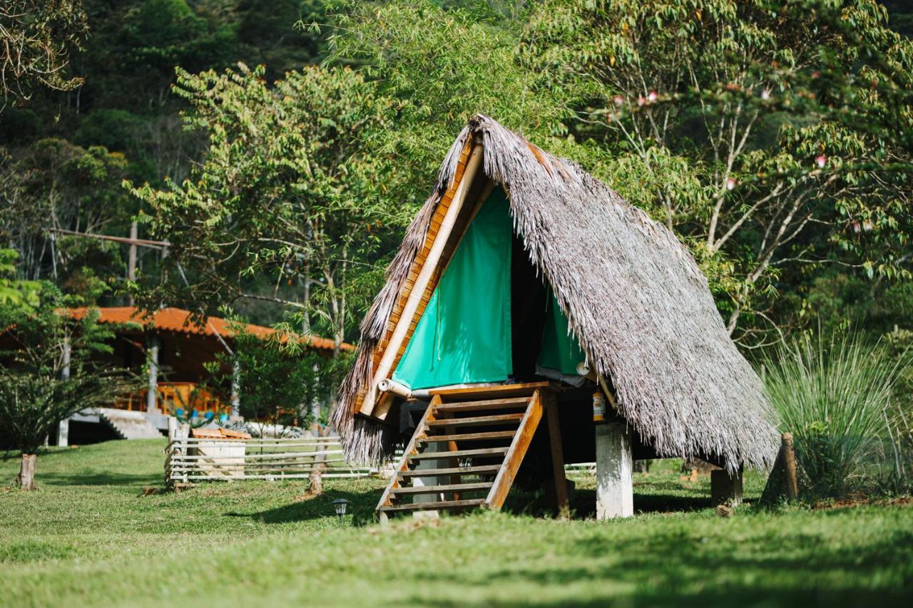 La Perla Negra - Black Pearl Eco Hostel San Rafael  Εξωτερικό φωτογραφία