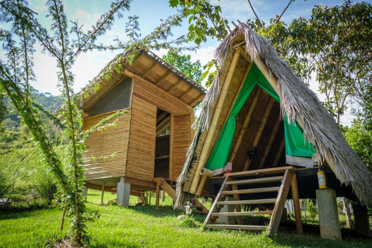 La Perla Negra - Black Pearl Eco Hostel San Rafael  Εξωτερικό φωτογραφία