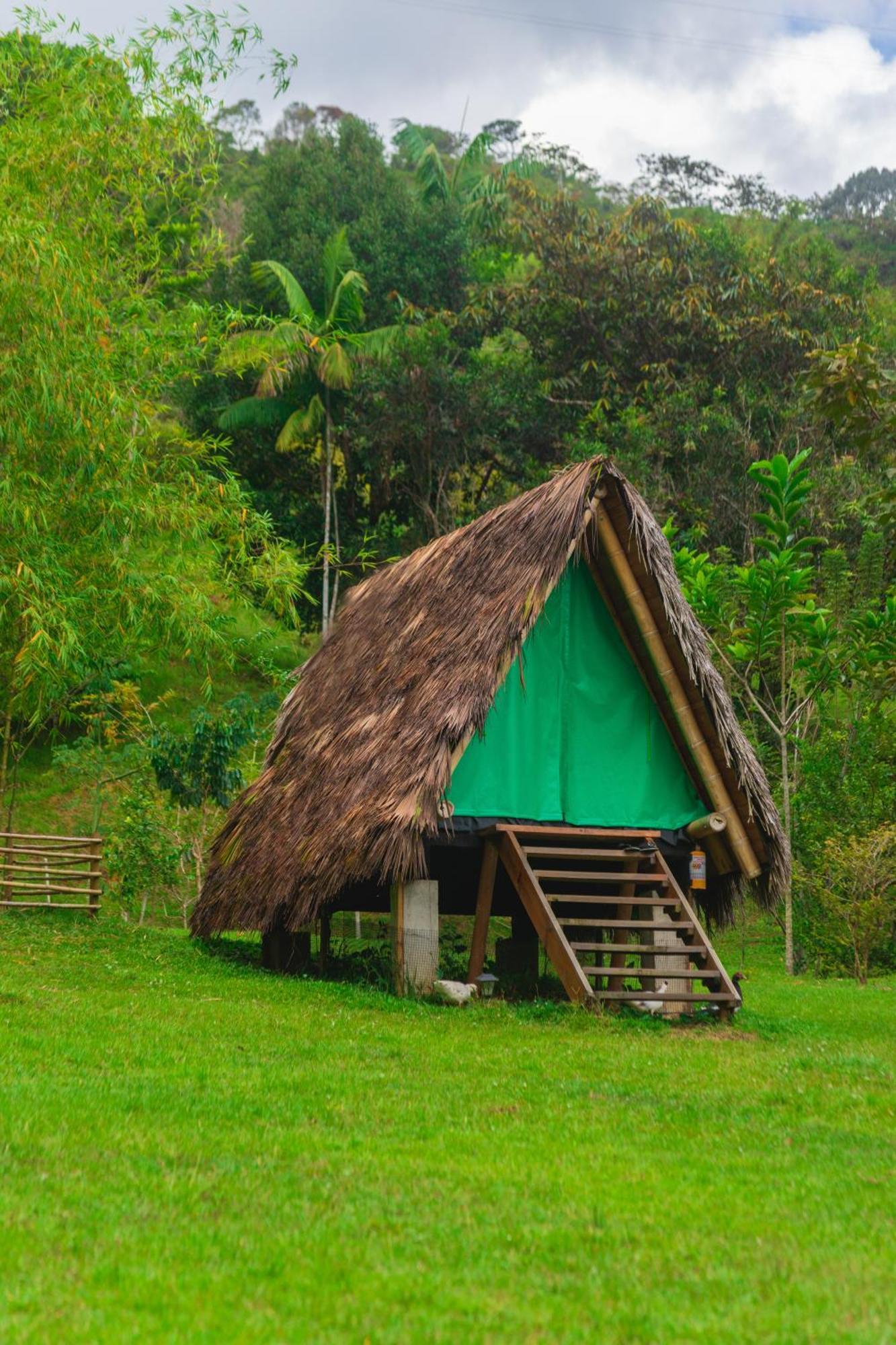 La Perla Negra - Black Pearl Eco Hostel San Rafael  Εξωτερικό φωτογραφία