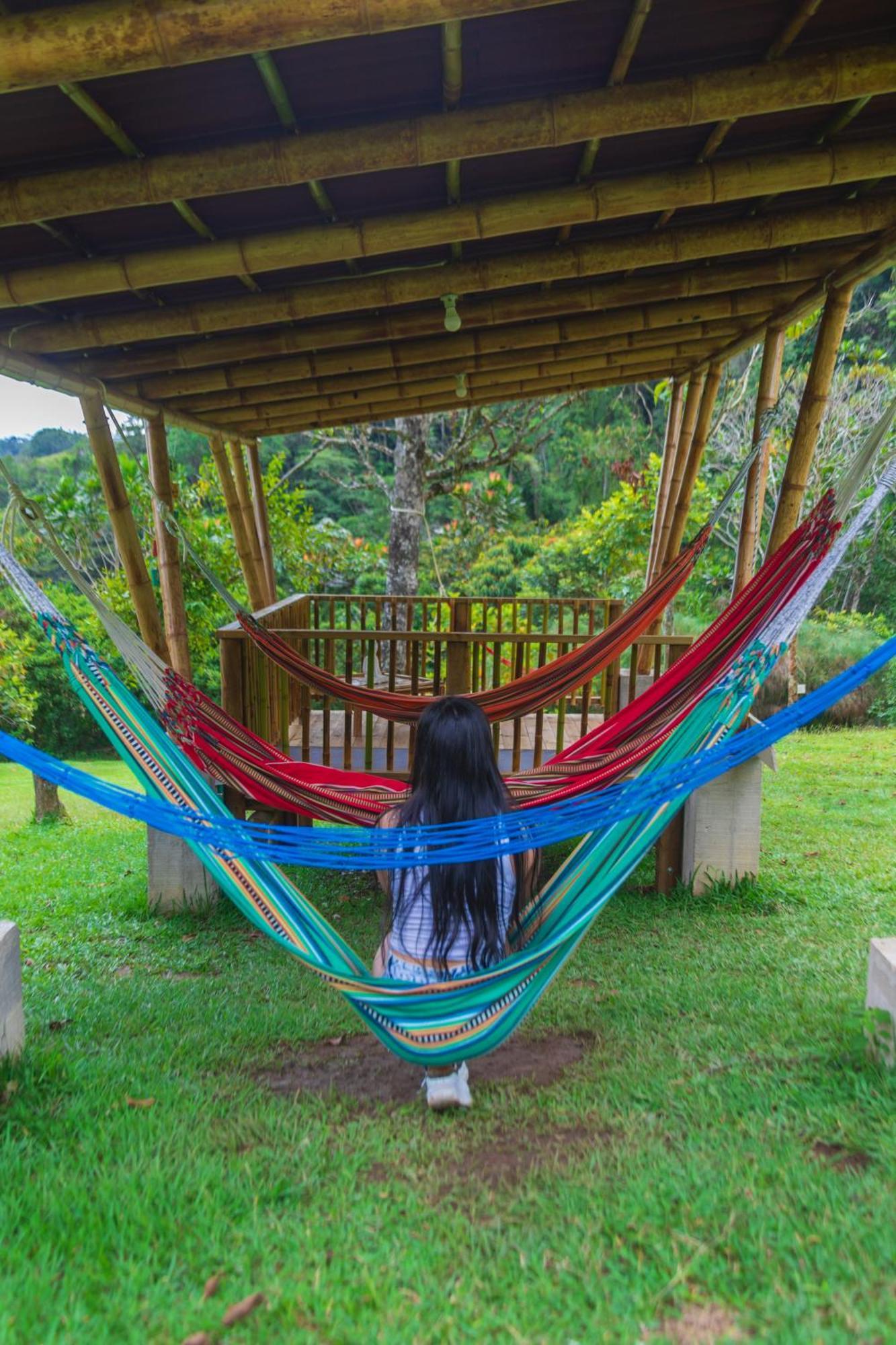 La Perla Negra - Black Pearl Eco Hostel San Rafael  Εξωτερικό φωτογραφία