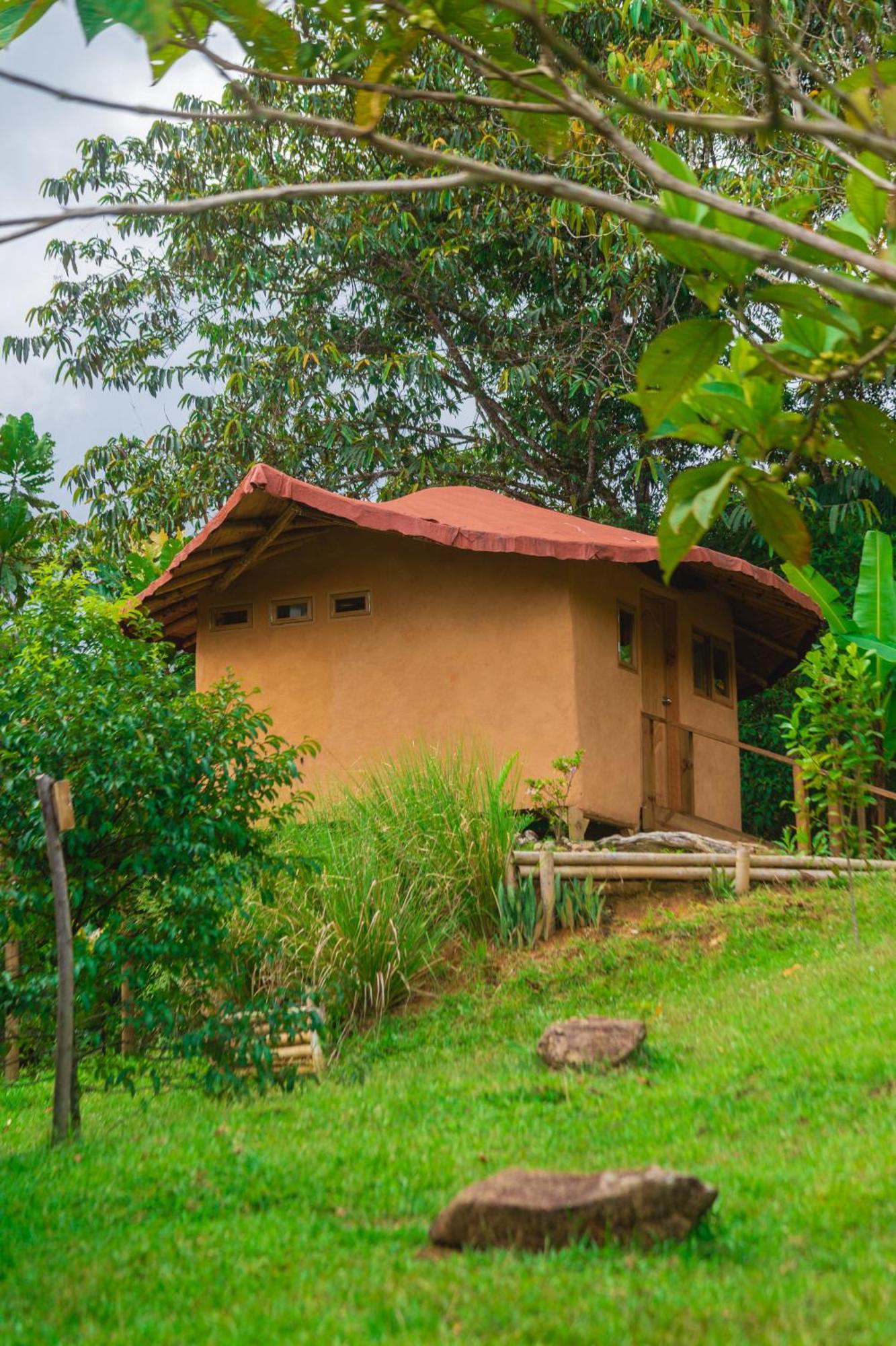 La Perla Negra - Black Pearl Eco Hostel San Rafael  Εξωτερικό φωτογραφία